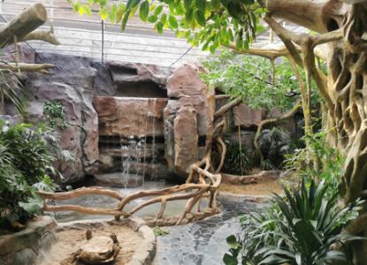 主题公园的历史与发展"